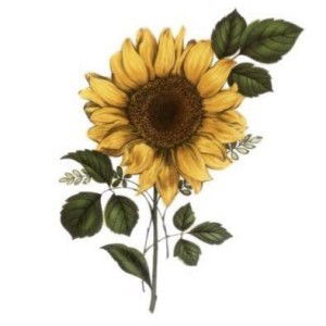 Elisa Ducusin profile icon