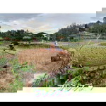 ชนกวนัญย์ เพชรสุข profile icon