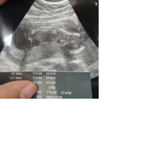 Elizna Rochelle Brandt profile icon