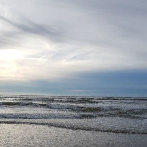 Araya Pangjaeng profile icon