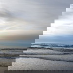 Araya Pangjaeng profile icon