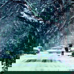 ida yuliana profile icon