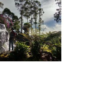 Ppuputt Novieta Malla profile icon