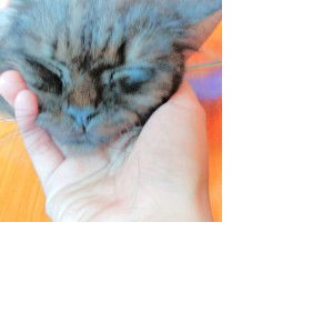 Siti Solihat profile icon