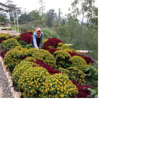 Susi Rahayu profile icon