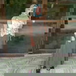 Marzeki Yumesti profile icon