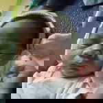 Hetis Mikay profile icon