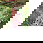 Rosi Pratiwi profile icon