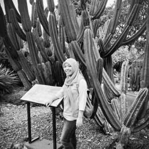 Setya Rini profile icon