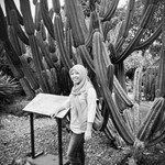 Setya Rini profile icon