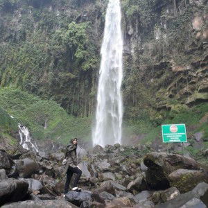 Novia Cahya profile icon