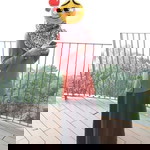 Tengku Tnz profile icon