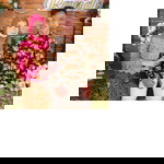 ditaintanpermata profile icon