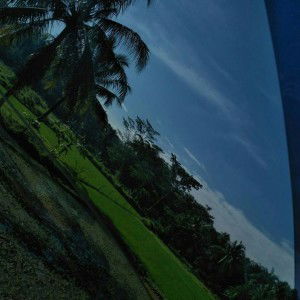 Rahma Ajja profile icon