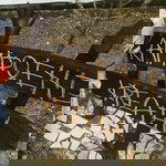 Fania Sari Arja profile icon