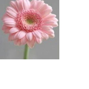 Anr Family profile icon