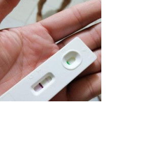 Liza Verdida profile icon