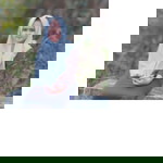 Homisah profile icon