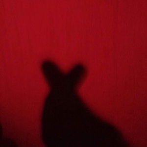 Yanti Ilham profile icon