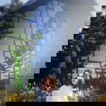 Alicia Marae profile icon