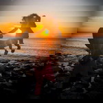 Afnorashiemah Mamat profile icon