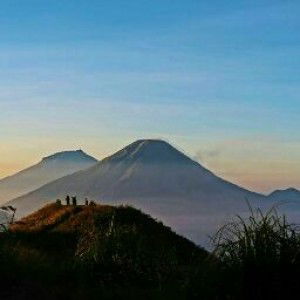 Pradnya Paramitha profile icon