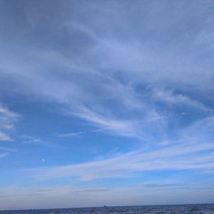 Nurhayati Lestari profile icon