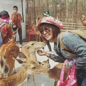 แค่คุณหลิวๆ ชิฟู profile icon