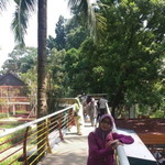 Seni Maelani profile icon
