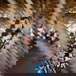 Montinee Laohaprasirdsiri profile icon