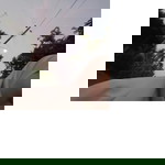 Mellya Betty profile icon