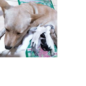 Lil Val profile icon