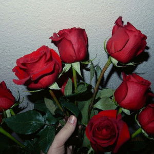 Hera Nur Auliyanti profile icon