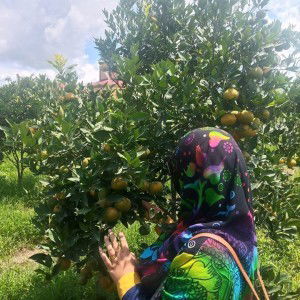 Umi Fauziah Sitepu profile icon