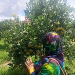 Umi Fauziah Sitepu profile icon