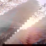 Lia Mohd Sahiri profile icon