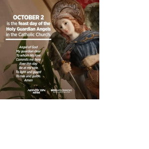 Jellian profile icon