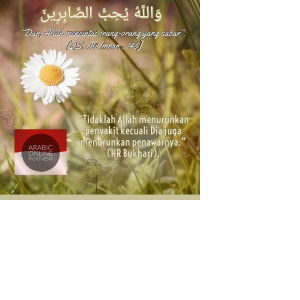 Nissa Jannati profile icon