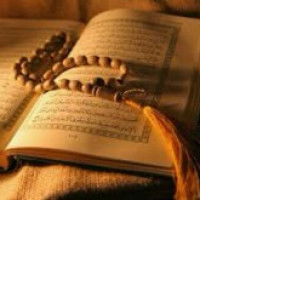 hopefully profile icon