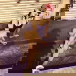 Irish Kent A Parcon profile icon