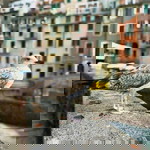 สินีนาฎ นิลอเด็ง profile icon