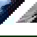 dfish profile icon