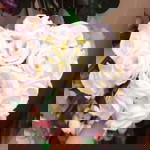 Jm Sapitanan profile icon