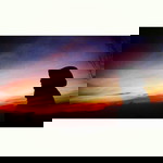 erma ristie profile icon