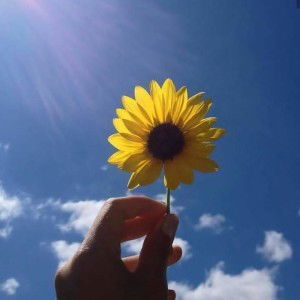 Wanda Auliya profile icon