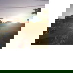 fitrul ula profile icon