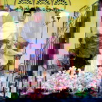 Nurul Izzati II profile icon