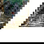 miiu er profile icon