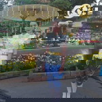 หมวย อินเตอร์ profile icon