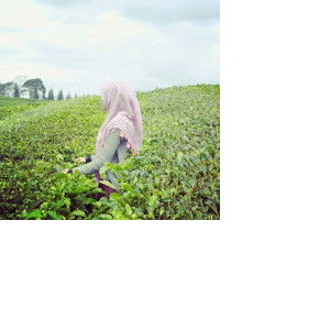 Siti Khadijah profile icon